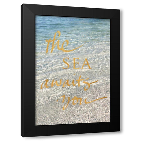 Sea Awaits You Black Modern Wood Framed Art Print with Double Matting by Gardner, Sarah