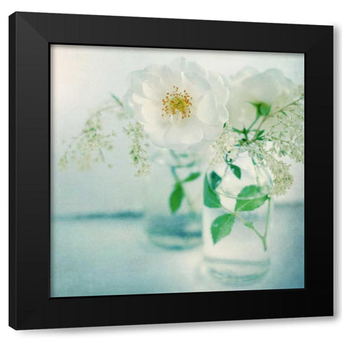 White Peonies Black Modern Wood Framed Art Print with Double Matting by Gardner, Sarah