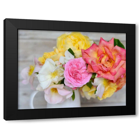 Color Burst Black Modern Wood Framed Art Print by Gardner, Sarah