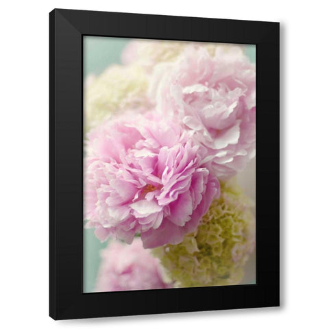 Soft Pink Blooms Black Modern Wood Framed Art Print with Double Matting by Gardner, Sarah