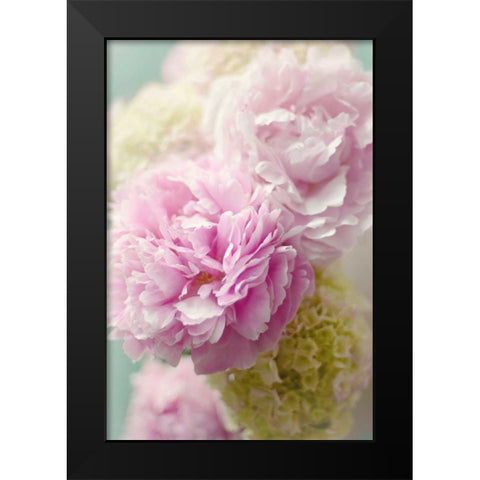 Soft Pink Blooms Black Modern Wood Framed Art Print by Gardner, Sarah