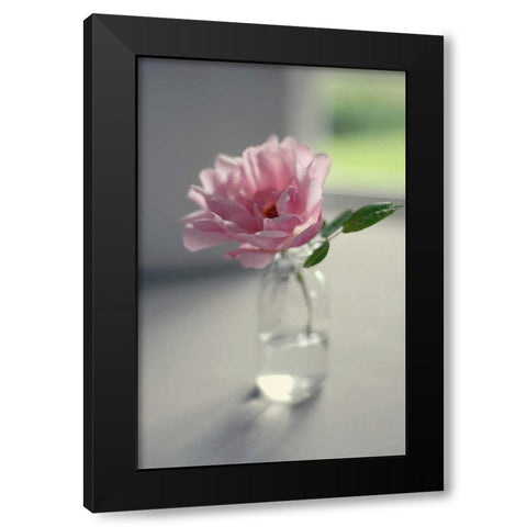 Evening Blooms Black Modern Wood Framed Art Print with Double Matting by Gardner, Sarah