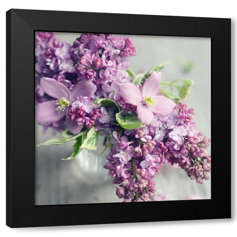 Fresh Morning Bloom Black Modern Wood Framed Art Print with Double Matting by Gardner, Sarah