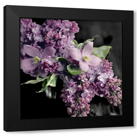 Fresh Evening Bloom Black Modern Wood Framed Art Print by Gardner, Sarah
