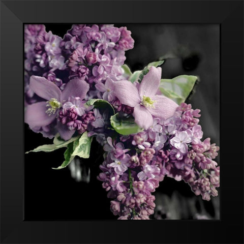 Fresh Evening Bloom Black Modern Wood Framed Art Print by Gardner, Sarah