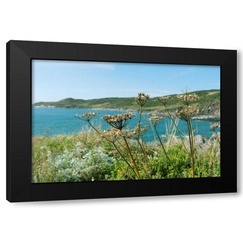Far Away In The Breeze Black Modern Wood Framed Art Print by Gardner, Sarah