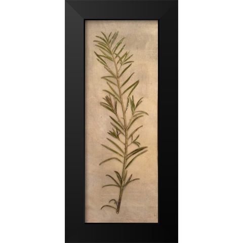 Captured Nature I Black Modern Wood Framed Art Print by Johnson, Walt