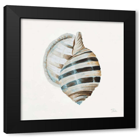 Modern Shell with Teal I Black Modern Wood Framed Art Print by Pinto, Patricia