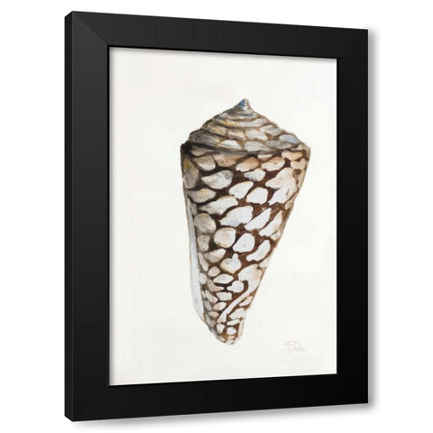 Modern Shell II Black Modern Wood Framed Art Print with Double Matting by Pinto, Patricia