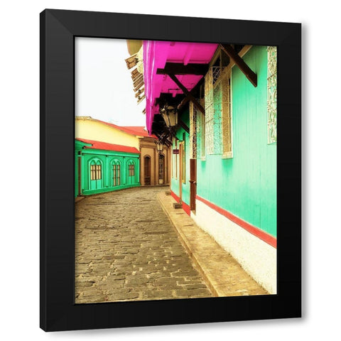 Island Trips Black Modern Wood Framed Art Print with Double Matting by Coppel, Anna