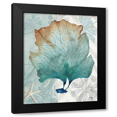 Nautical World IV Black Modern Wood Framed Art Print with Double Matting by Medley, Elizabeth