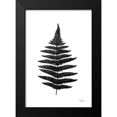 Black Pressed Fern Black Modern Wood Framed Art Print by Pattinian, Merri