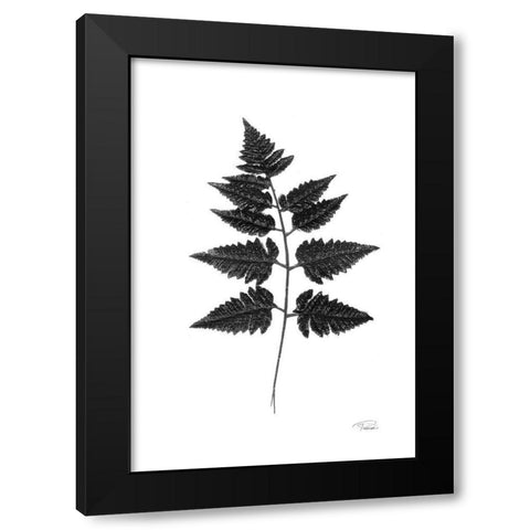 Black Pressed Leaves Black Modern Wood Framed Art Print with Double Matting by Pattinian, Merri
