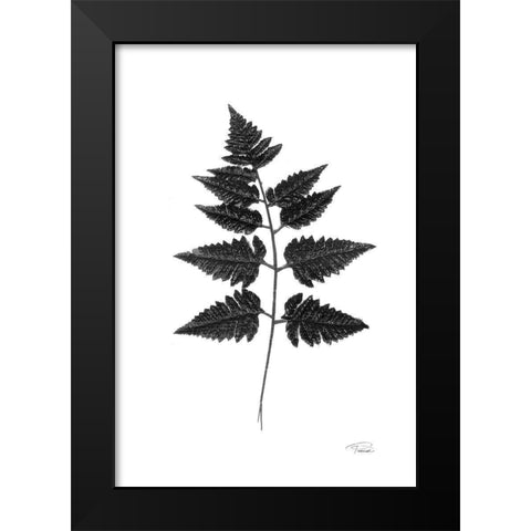 Black Pressed Leaves Black Modern Wood Framed Art Print by Pattinian, Merri