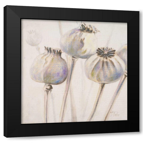 Poppy Seeds I Black Modern Wood Framed Art Print with Double Matting by Pinto, Patricia
