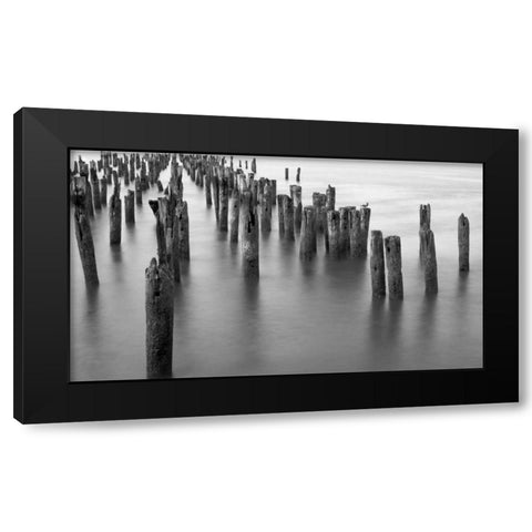 Hudson River Pilings Black Modern Wood Framed Art Print by Bill Carson Photography