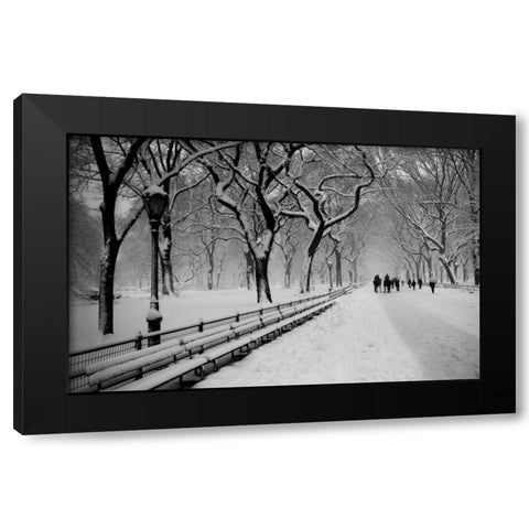 Central Park Snow Black Modern Wood Framed Art Print by Bill Carson Photography