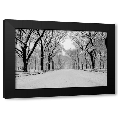 The Mall Washington DC Black Modern Wood Framed Art Print with Double Matting by Bill Carson Photography