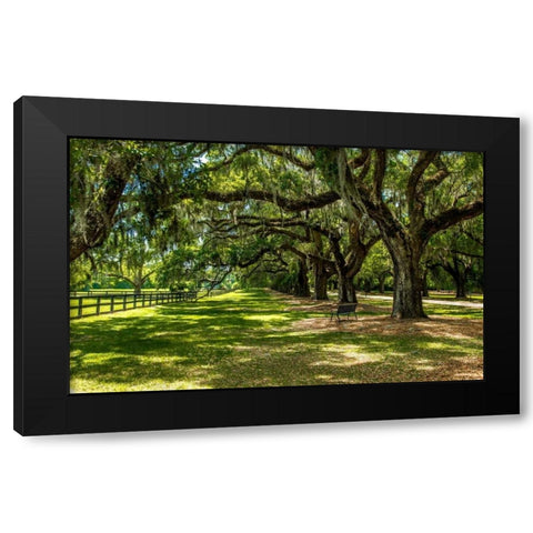 Boone Hall Black Modern Wood Framed Art Print by Bill Carson Photography