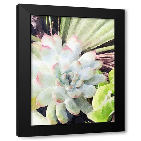 Watercolor Green Succulent Black Modern Wood Framed Art Print by James, Nola