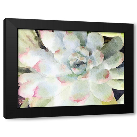 Watercolor Succulent Black Modern Wood Framed Art Print with Double Matting by James, Nola
