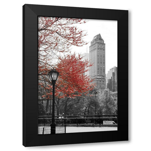 Central Park with Red Tree Black Modern Wood Framed Art Print with Double Matting by Navas, Emily