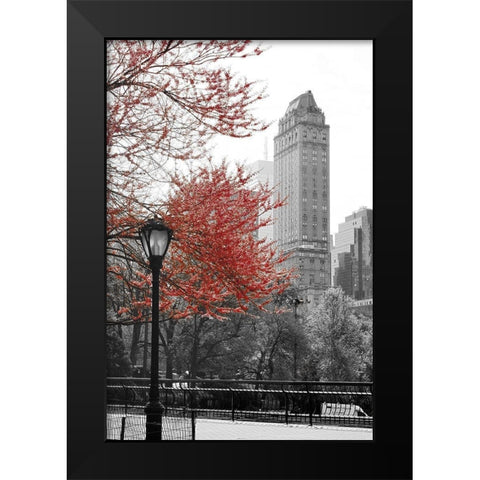 Central Park with Red Tree Black Modern Wood Framed Art Print by Navas, Emily