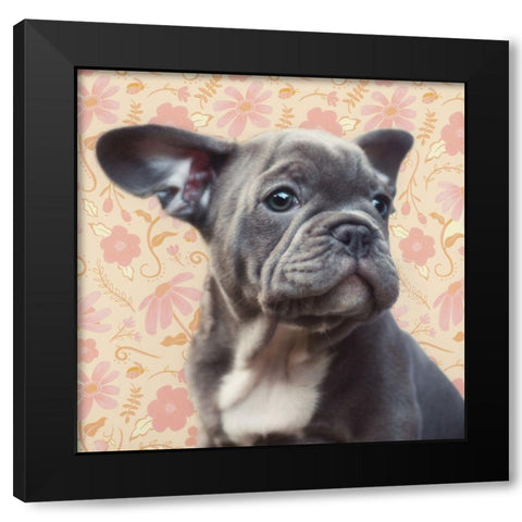 Pondering Puppy Black Modern Wood Framed Art Print with Double Matting by Josefina