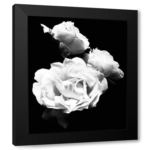 Dramatic Love Blooms  I Black Modern Wood Framed Art Print with Double Matting by Navas, Emily