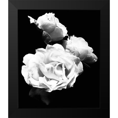 Dramatic Love Blooms  I Black Modern Wood Framed Art Print by Navas, Emily