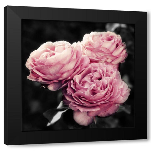 Pink Florals in Noir Black Modern Wood Framed Art Print with Double Matting by Navas, Emily