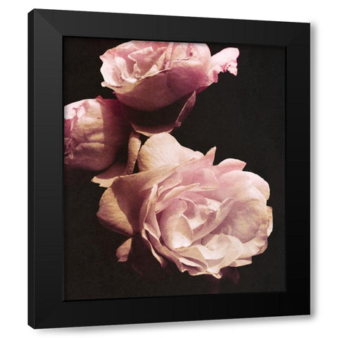 Solitary Bouquet II Black Modern Wood Framed Art Print with Double Matting by Navas, Emily