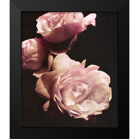 Solitary Bouquet II Black Modern Wood Framed Art Print by Navas, Emily