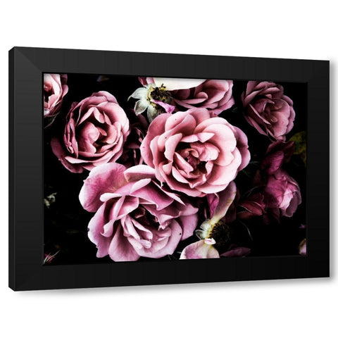 Baroque Roses Black Modern Wood Framed Art Print with Double Matting by Navas, Emily
