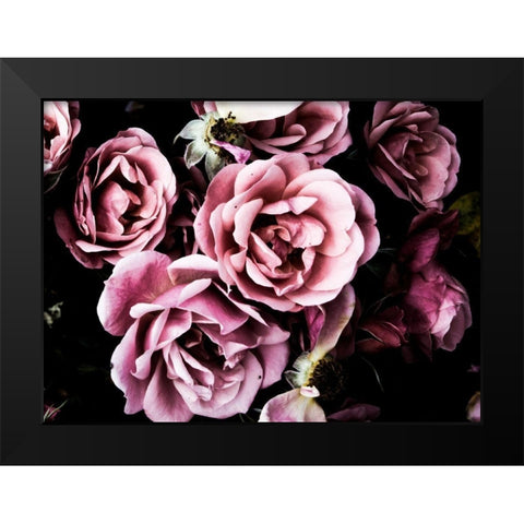 Baroque Roses Black Modern Wood Framed Art Print by Navas, Emily