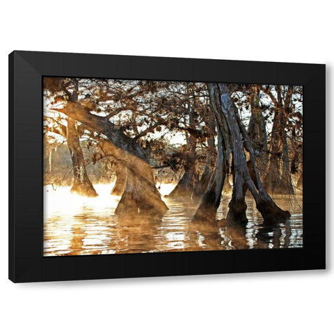 Cypress Creek II Black Modern Wood Framed Art Print by Nawrocke, Bruce