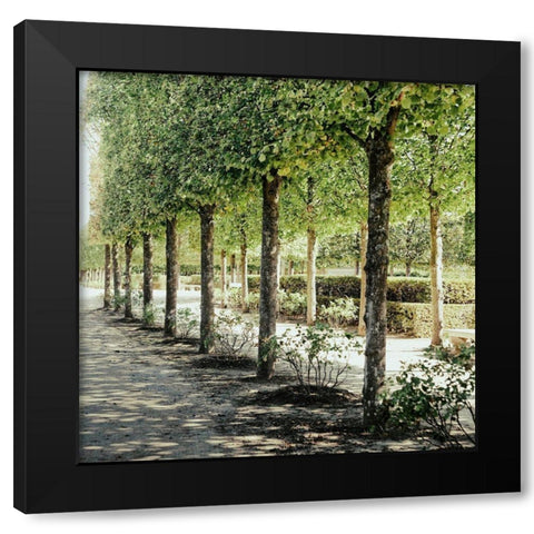 Parisian Stroll I Black Modern Wood Framed Art Print with Double Matting by Navas, Emily