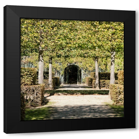 Parisian Stroll II Black Modern Wood Framed Art Print by Navas, Emily