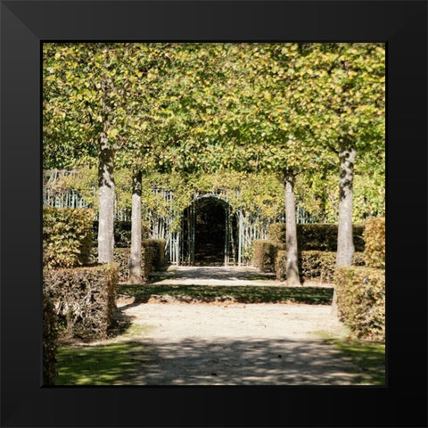 Parisian Stroll II Black Modern Wood Framed Art Print by Navas, Emily