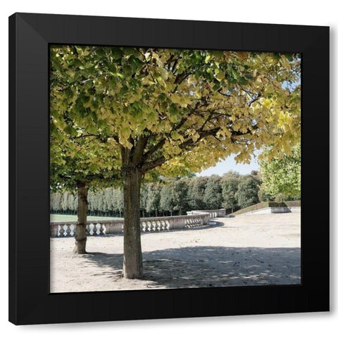 Parisian Stroll III Black Modern Wood Framed Art Print by Navas, Emily