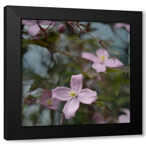Springtime I Black Modern Wood Framed Art Print with Double Matting by Gardner, Sarah