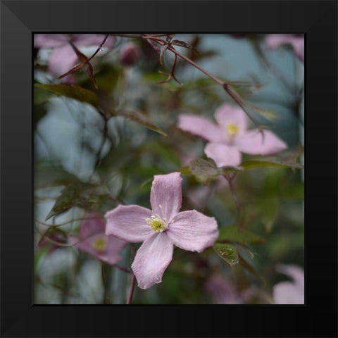Springtime I Black Modern Wood Framed Art Print by Gardner, Sarah