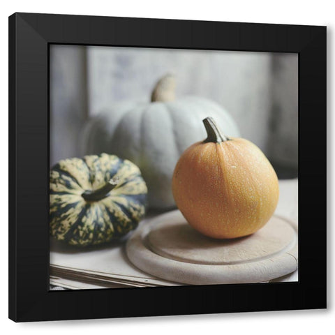 Time For Fall Black Modern Wood Framed Art Print by Gardner, Sarah