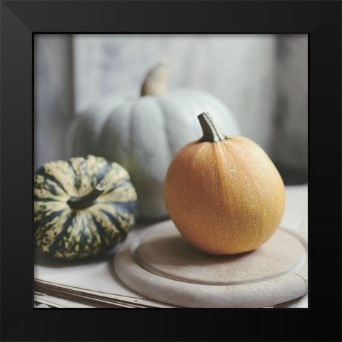 Time For Fall Black Modern Wood Framed Art Print by Gardner, Sarah