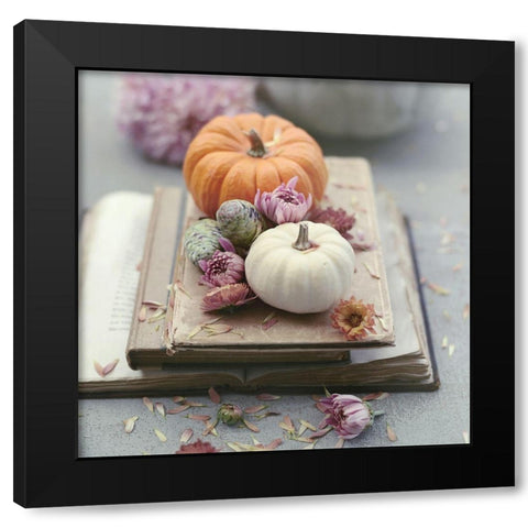 Florals In Fall Black Modern Wood Framed Art Print by Gardner, Sarah