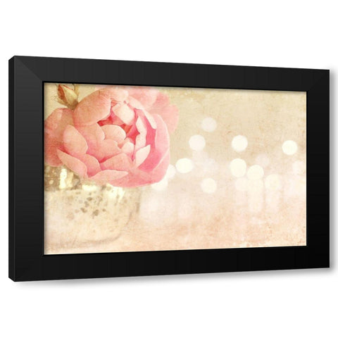 Spotlight Blooms Black Modern Wood Framed Art Print with Double Matting by Gardner, Sarah