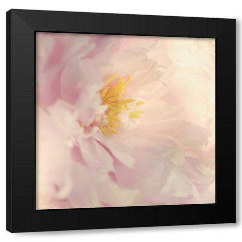 Bloom Black Modern Wood Framed Art Print by Gardner, Sarah