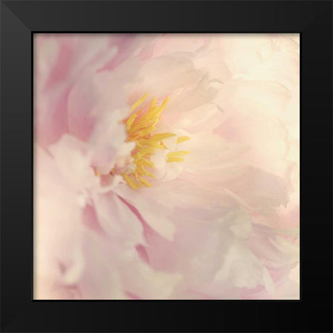 Bloom Black Modern Wood Framed Art Print by Gardner, Sarah