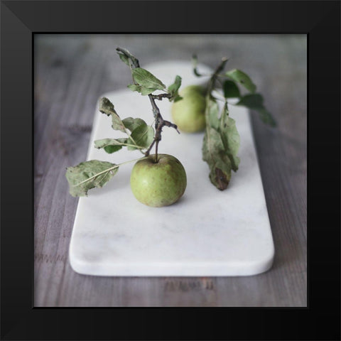 Growth Begins Black Modern Wood Framed Art Print by Gardner, Sarah