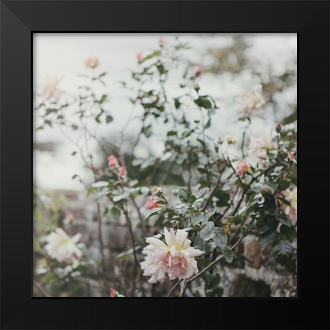 Spring Views Black Modern Wood Framed Art Print by Gardner, Sarah